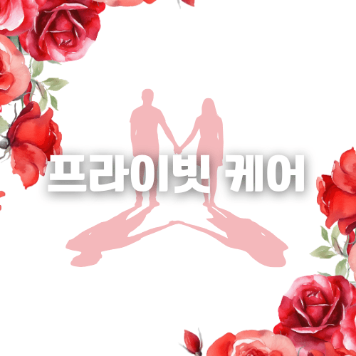 하노이 에코걸 가격