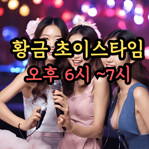 하노이 가라오케 이용