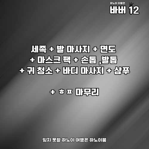 하노이 핸플