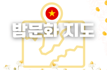 하노이 밤문화 지도